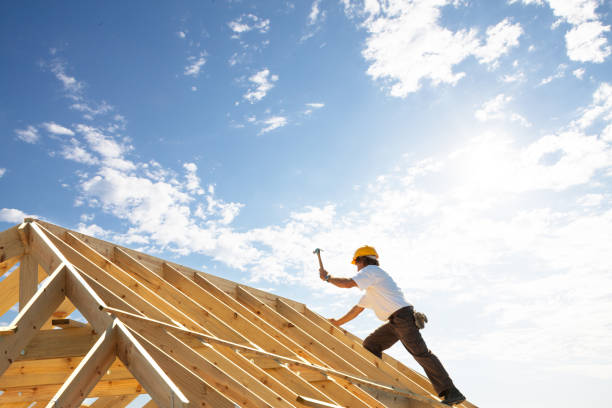 Best Roof Moss and Algae Removal  in Hillsborough, NC